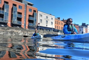 Dublin by Kayak 2-Hour Sightseeing Tour