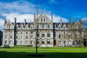 Dublin: Castles, Cathedrals, and Countryside Full-Day Tour