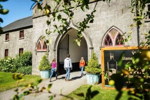 Dublín: tour de castillos y whisky