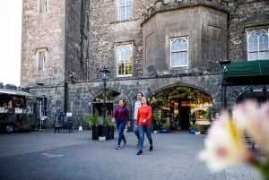 Dublín: tour de castillos y whisky