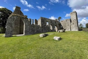 Dublín: tour de castillos y whisky