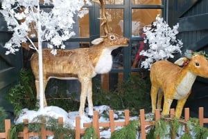 Dublin: Weihnachtliche Städtetour mit heißer Schokolade & Keksen