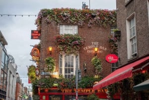 Dublin: Weihnachts-Fotoerlebnis