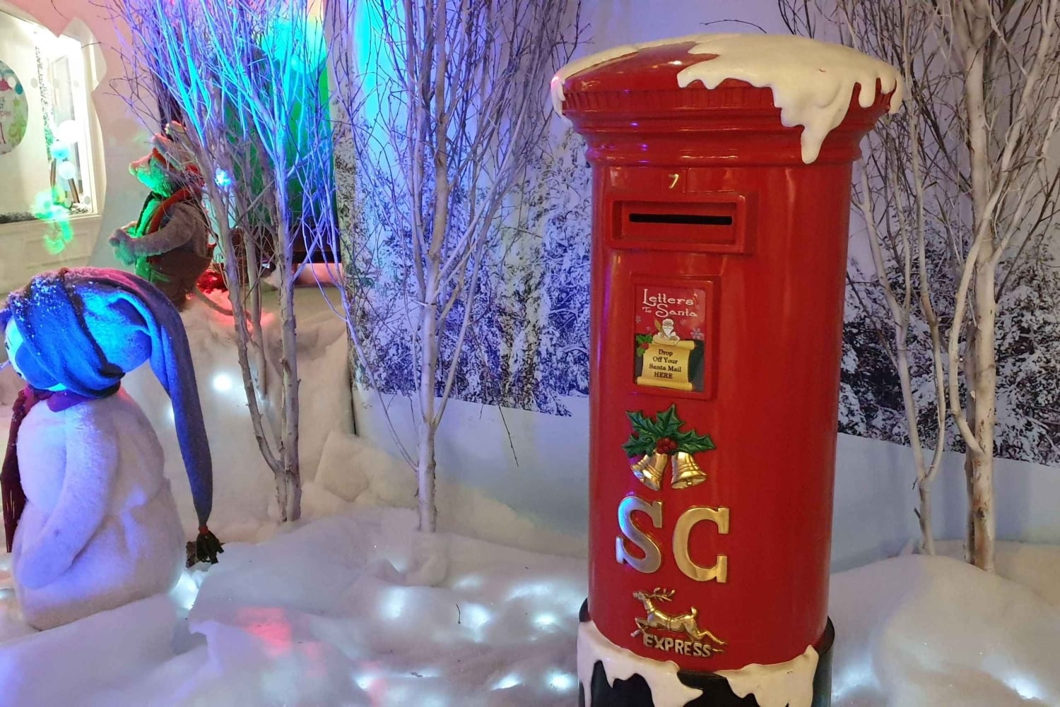 Dublin: Juleomvisning med St. Patrick's Cathedral