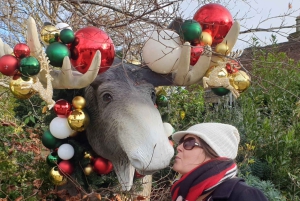 Dublin: kersttour met St. Patrick's Cathedral