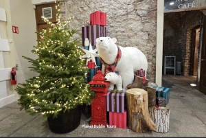 Dublin: kersttour met St. Patrick's Cathedral