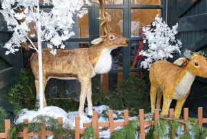 Dublin: kersttour met St. Patrick's Cathedral