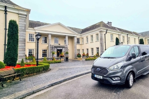 Dublin: kersttour met St. Patrick's Cathedral