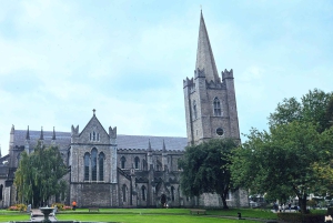 Dublin: kersttour met St. Patrick's Cathedral