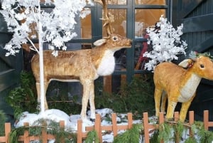 Dublin: Juleomvisning med St. Patrick's Cathedral