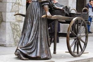 Dublin: Opastettu opiskelijakävelykierros kaupungin keskustassa