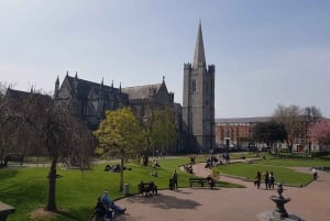 Dublin: Opastettu opiskelijakävelykierros kaupungin keskustassa
