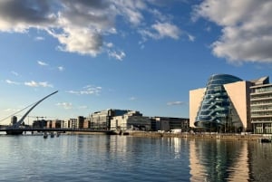 Dublin: By- og kysttur med tidlig ankomst til flyplassen