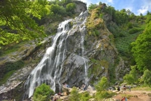 Luxuriöse Tagestour durch Dublin, entlang der Küste und in die Wicklow Mountains