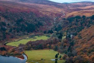 Luxuriöse Tagestour durch Dublin, entlang der Küste und in die Wicklow Mountains