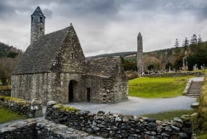 Luxuriöse Tagestour durch Dublin, entlang der Küste und in die Wicklow Mountains