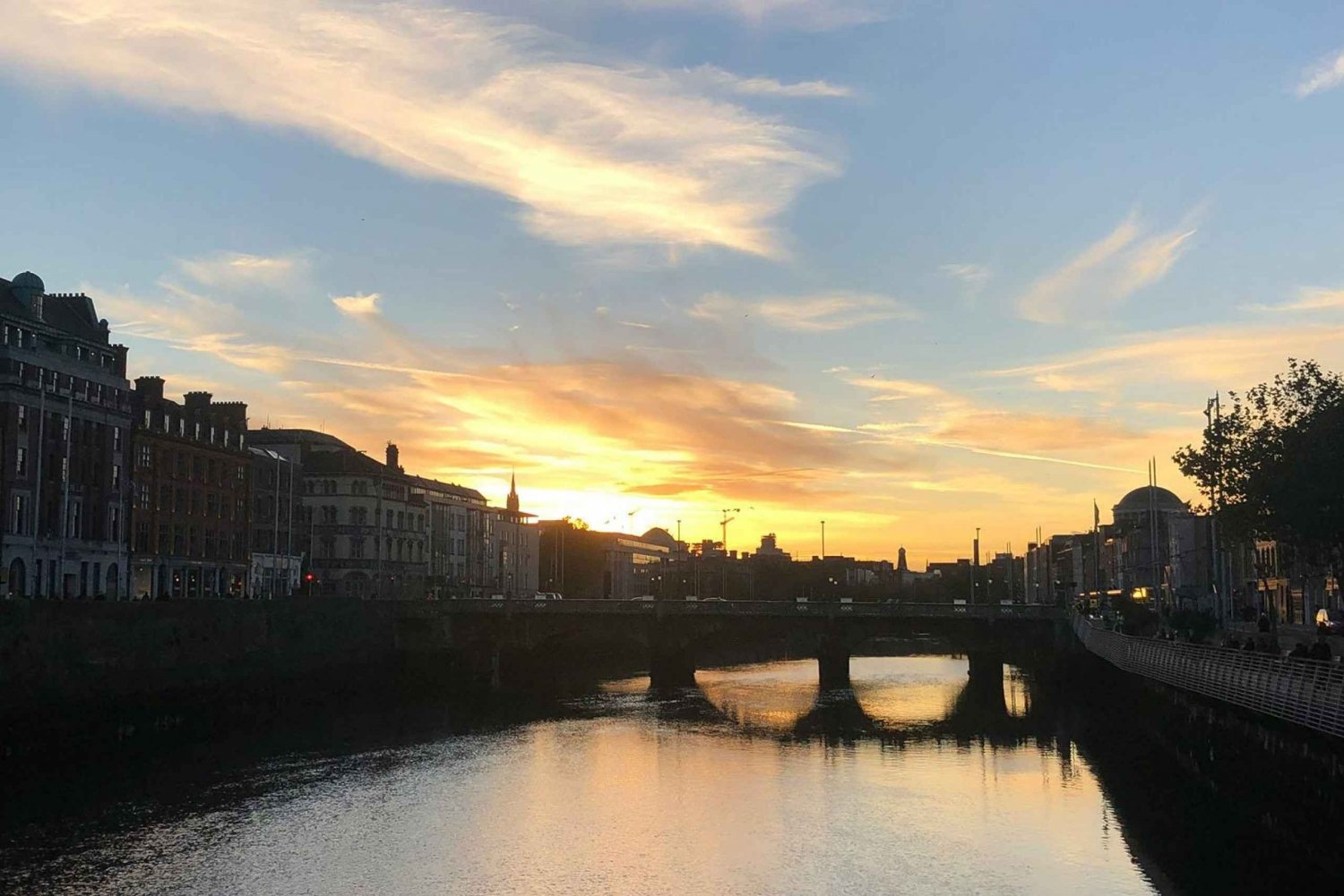 Visita panorámica de la ciudad de Dublín en un día con chófer privado