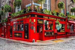 Dublin City sight seeing private chauffeur day tour