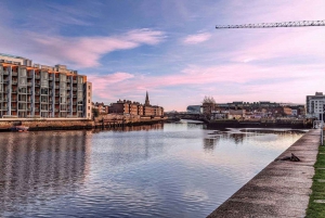 Excursão de um dia com motorista particular para conhecer a cidade de Dublin