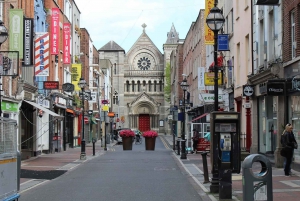 Dublin City sightseeing privat chaufför dagstur 6 sittplatser