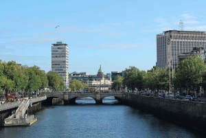 Dublin City sightseeing privat chaufför dagstur 6 sittplatser