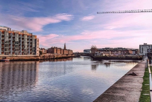 Stadsrondleiding Dublin met privéchauffeur dagtour met 6 zitplaatsen