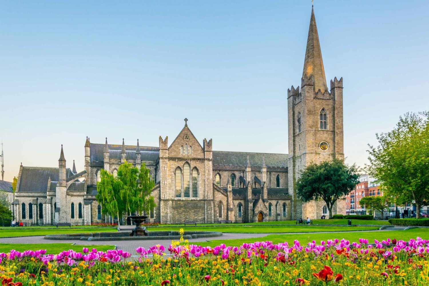 Dublin City & St Patrick's Cathedral Half-Day Tour by Car