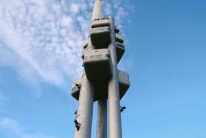 Visite d'une demi-journée en voiture de la ville de Dublin et de la cathédrale Saint-Patrick