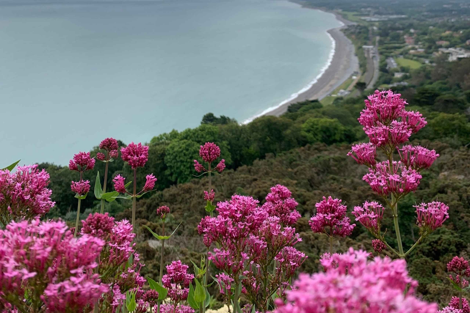 Дублинское побережье и горы Уиклоу: роскошный частный однодневный тур