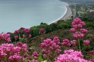 Дублинское побережье и горы Уиклоу: роскошный частный однодневный тур