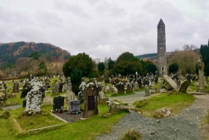 Дублинское побережье и горы Уиклоу: роскошный частный однодневный тур