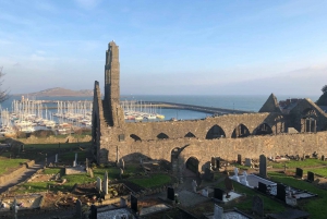 Dublin : Tournée de bière artisanale et de fruits de mer sur la côte de Howth