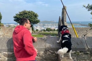 Dublin: Vandring langs kysten og Pints & Puppies