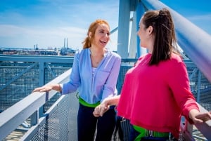 Dublin: Croke Park Kellogg's Skyline Tour and GAA Museum