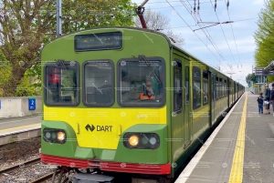 Dublin: Excursão de cruzeiro hop-on hop-off e bilhete de trem