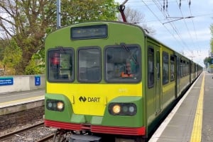 Dublino: tour hop-on hop-off con escursione in crociera e biglietto ferroviario