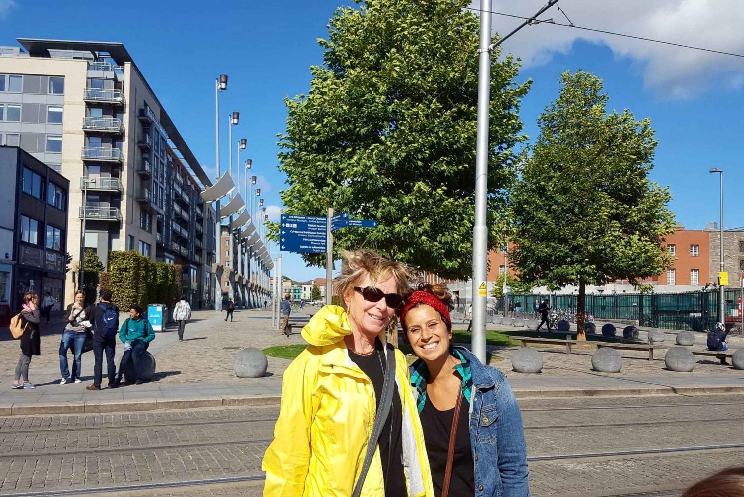 Dublin: Customizable Private Walking Tour with a Local Host