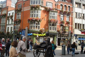 Dublin: Customizable Private Walking Tour with a Local Host