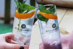 Dublin Distilling & Gin School with Gin Tastings and Snacks