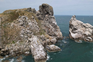 Dublin: Dublin Bay, Howth Coast og bådtur til Irlands øje