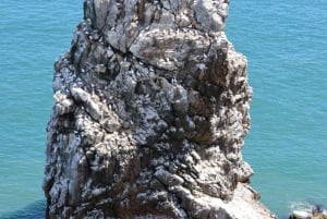 Dublin: Dublin Bay, Howth Coast og bådtur til Irlands øje