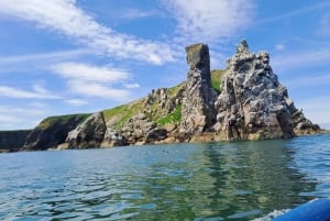 Dublin, Irland Dublin Bay, Howth Coast och Ireland's Eye båttur