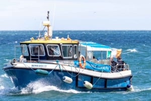 Dublín: Tour en barco por la Bahía de Dublín, la Costa de Howth y el Ojo de Irlanda