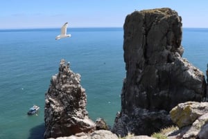 Dublin: Zatoka Dublińska, Wybrzeże Howth i rejs wycieczkowy Ireland's Eye