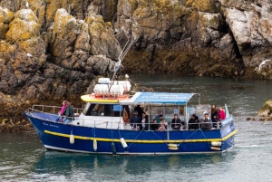Dublino: Tour in barca della baia di Dublino, della costa di Howth e dell'occhio d'Irlanda