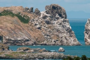 Dublin : Tour en bateau de la baie de Dublin, de la côte de Howth et de l'œil de l'Irlande