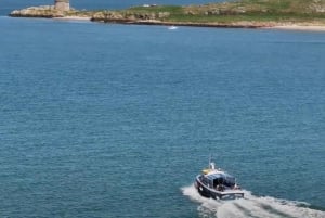 Dublín: Tour en barco por la Bahía de Dublín, la Costa de Howth y el Ojo de Irlanda