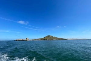 Dublin: Dublin Bay, Howth Coast og bådtur til Irlands øje