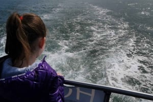 Dublín: Tour en barco por la Bahía de Dublín, la Costa de Howth y el Ojo de Irlanda