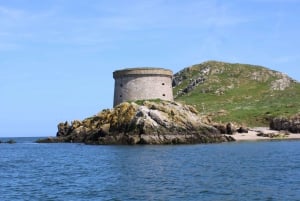 Dublino: Tour in barca della baia di Dublino, della costa di Howth e dell'occhio d'Irlanda